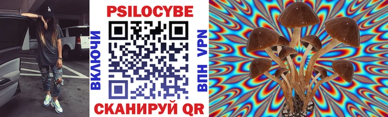 shop как зайти  Кувшиново  Псилоцибиновые грибы мицелий 