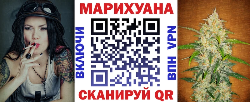 Канабис сатива  Кувшиново 